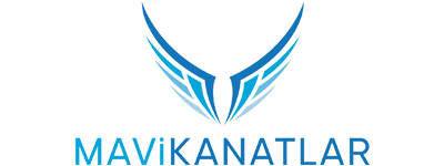 iqvizyon logo